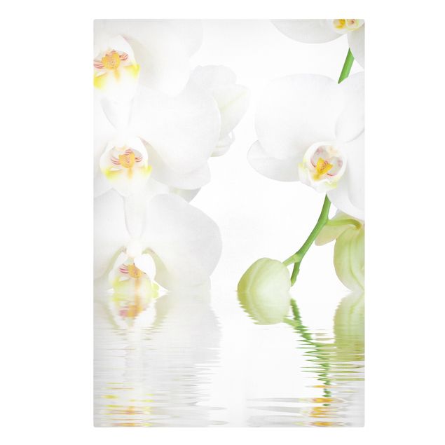 Wohndeko Blume Wellness Orchidee - Weiße Orchidee