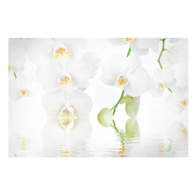 Deko Blume Wellness Orchidee - Weiße Orchidee