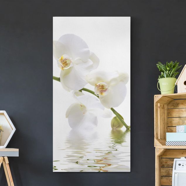 Wandbilder Orchideen White Orchid Waters