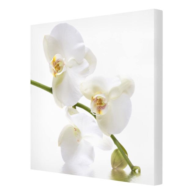 Wanddeko Flur White Orchid Waters