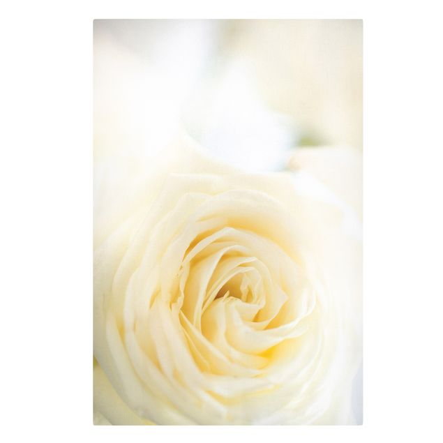 Wanddeko Flur White Rose