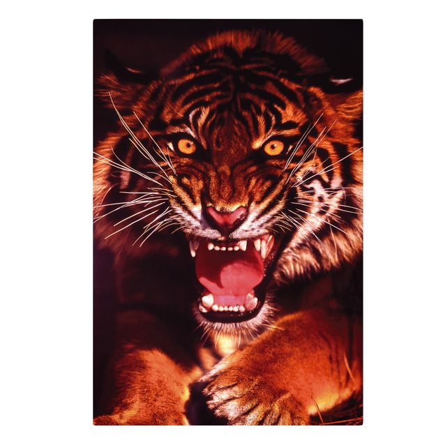 Leinwandbilder Tiger Wilder Tiger