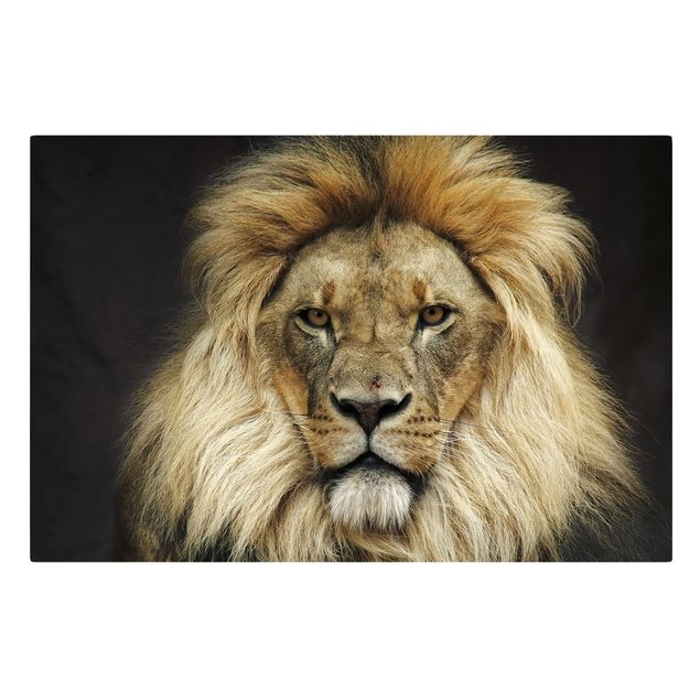 Leinwandbild Löwe Wisdom of Lion