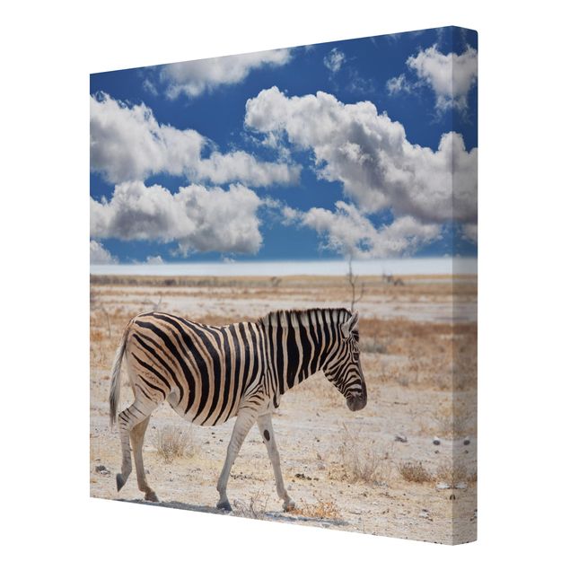 Zebra Bilder auf Leinwand Zebra in der Savanne