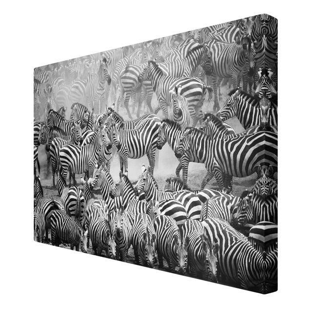Leinwandbilder Zebra Zebraherde II