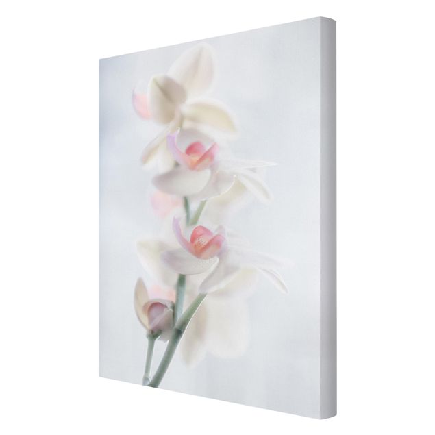 Wanddeko Blume Zerbrechliche Orchidee