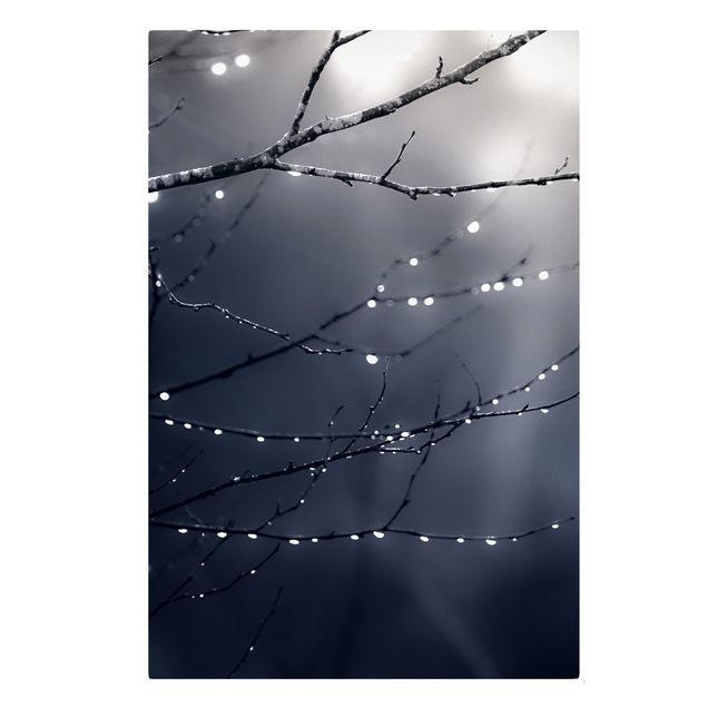 Wanddeko Esszimmer Lichttropfen am Birkenzweig