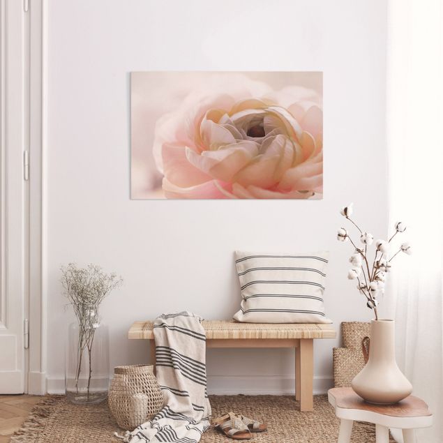 Leinwandbild Rose Rosa Blüte im Fokus