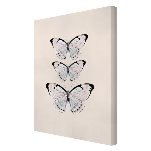Wanddeko Büro Schmetterling auf Beige
