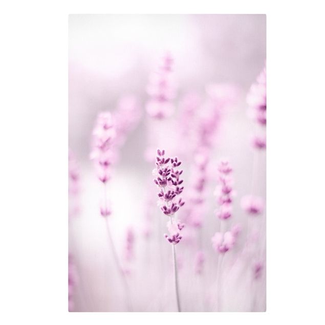 Deko Gräser Zartvioletter Lavendel