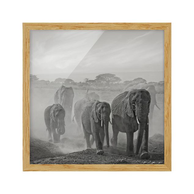 Wanddeko Flur Elefantenherde