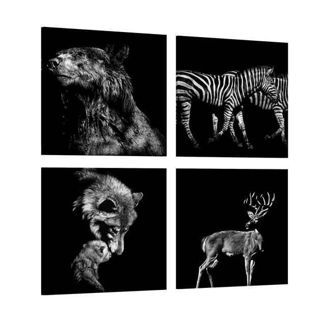 Wandbilder Hirsche Wildtiere vor Schwarz Set I