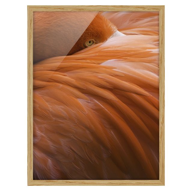 Wanddeko Esszimmer Flamingofedern