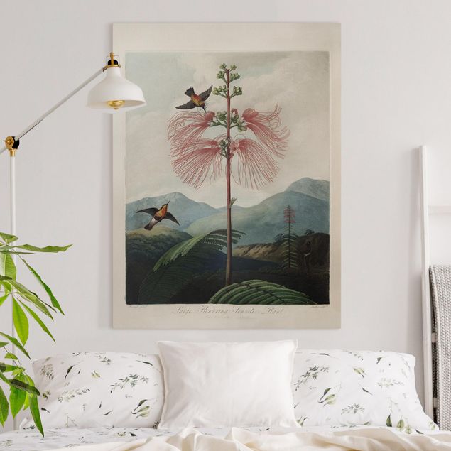 Wanddeko Wohnzimmer Botanik Vintage Illustration Blüte und Kolibri
