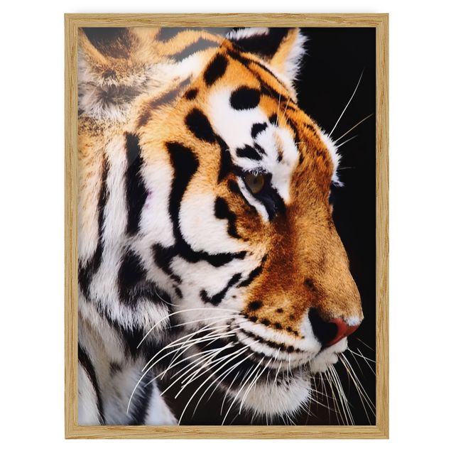 Wanddeko Flur Tiger Schönheit