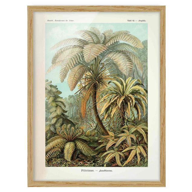 Wanddeko Esszimmer Botanik Vintage Illustration Laubfarne