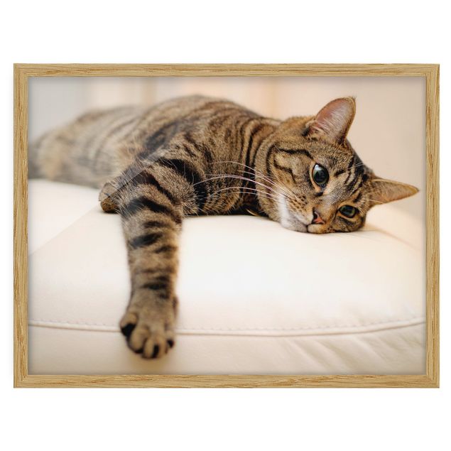 Wanddeko Esszimmer Cat Chill Out