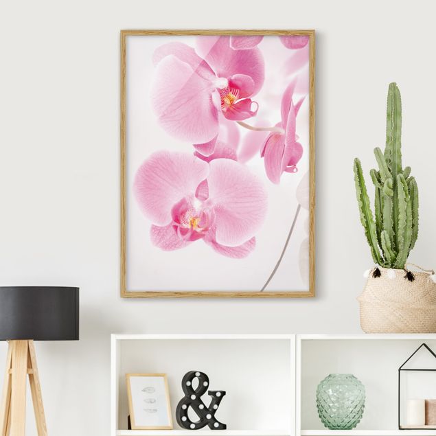 Wanddeko Wohnzimmer Delicate Orchids