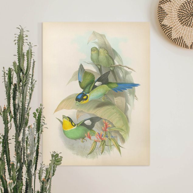 Wanddeko Wohnzimmer Vintage Illustration Tropische Vögel