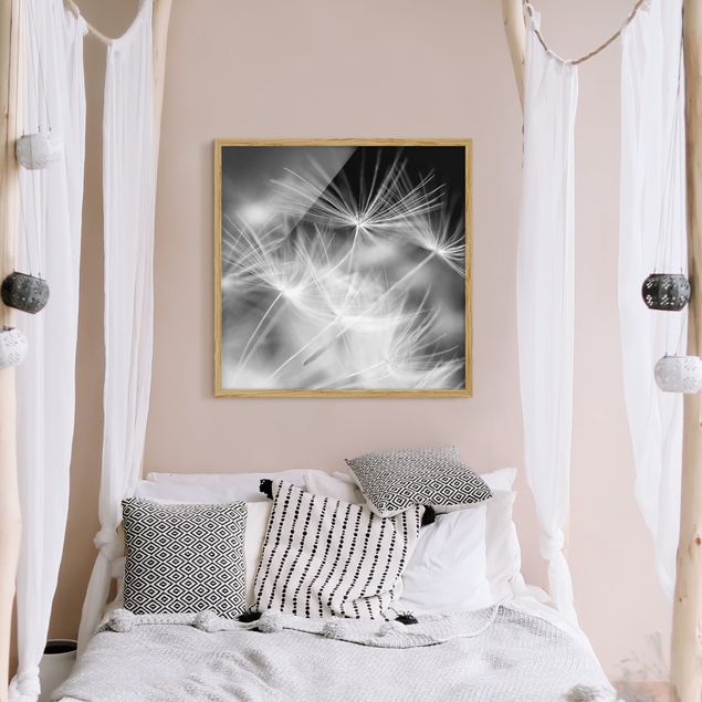 Wanddeko Schlafzimmer Bewegte Pusteblumen Nahaufnahme auf schwarzem Hintergrund