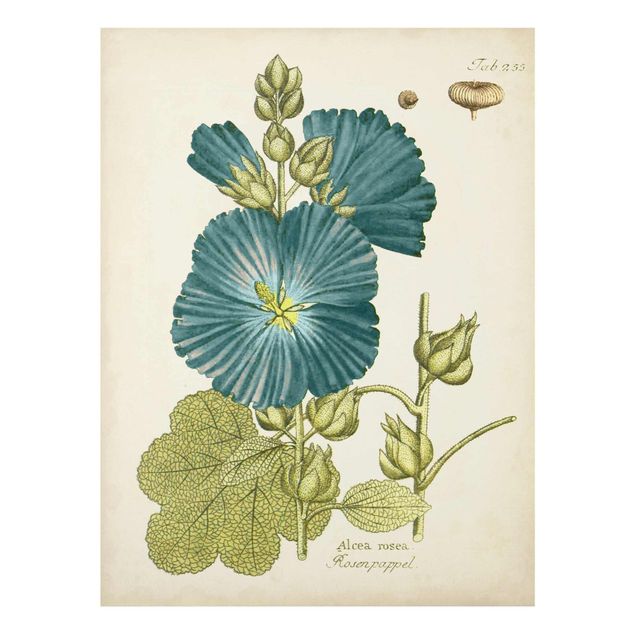 Wanddeko Flur Vintage Botanik in Blau Rosenpappel