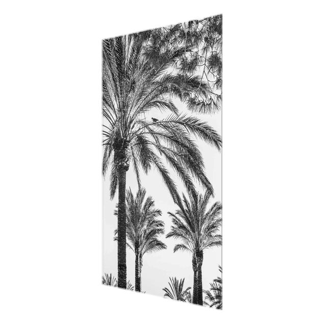 Wanddeko über Sofa Palmen im Sonnenuntergang Schwarz-Weiß