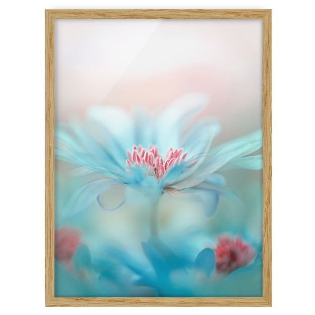 Wohndeko Blume Zarte Blüten in Pastell