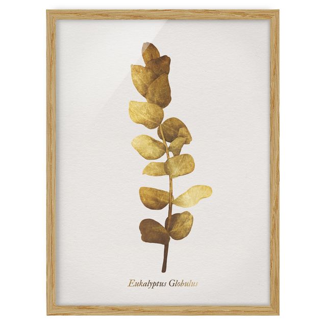 Wanddeko gold Gold - Eukalyptus