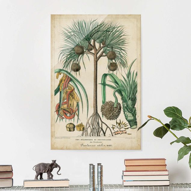 Wanddeko Schlafzimmer Vintage Lehrtafel Exotische palmen I