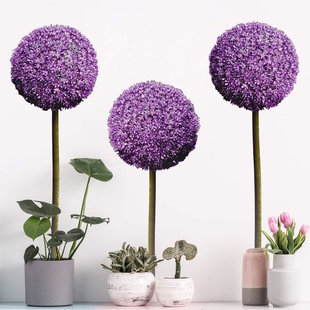 Wanddeko Botanik Allium Kugel-Blüten 3er Set