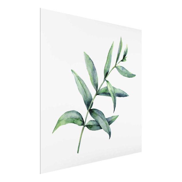 Wanddeko grün Aquarell Eucalyptus I