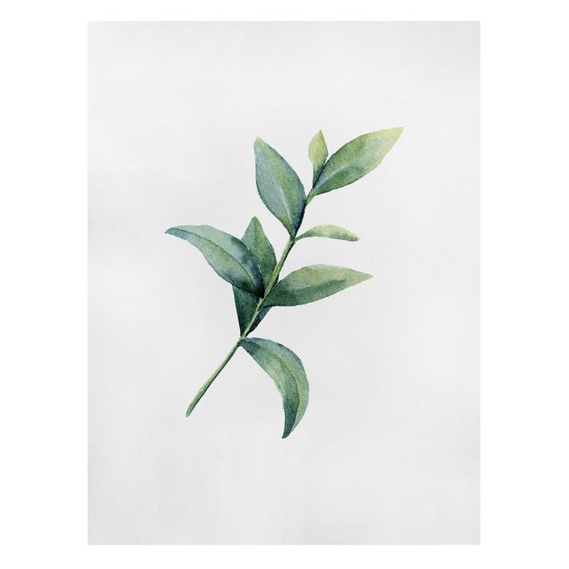 Wanddeko grün Aquarell Eucalyptus II