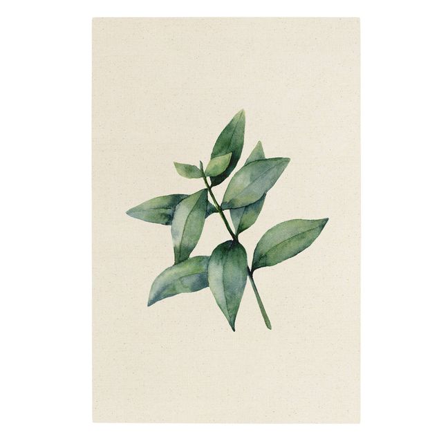 Wanddeko grün Aquarell Eucalyptus III