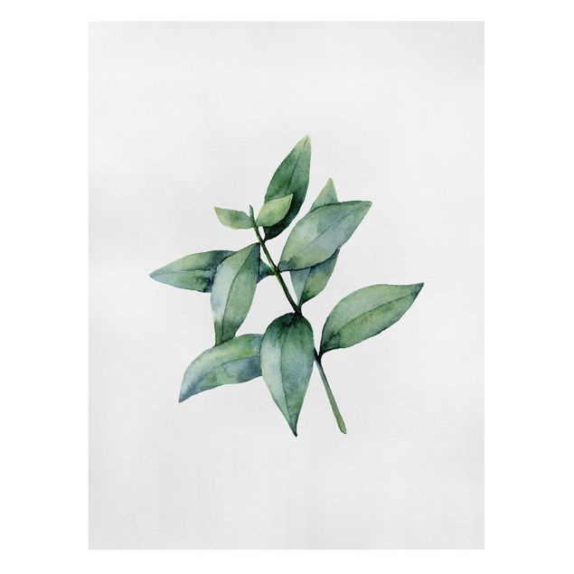 Wanddeko grün Aquarell Eucalyptus III