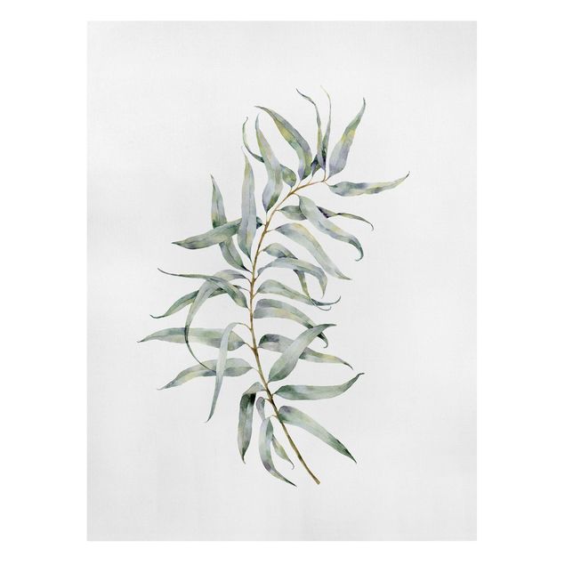 Wanddeko grün Aquarell Eucalyptus IV