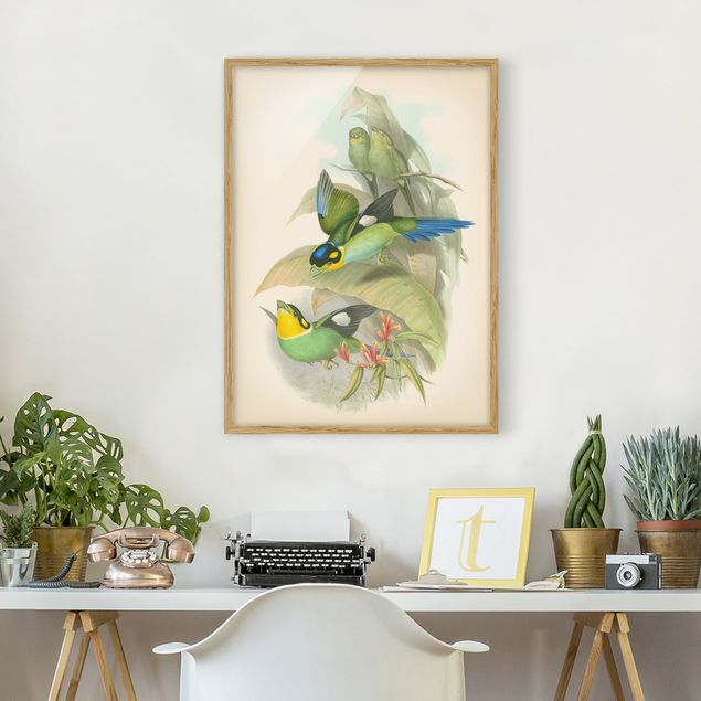 Wanddeko Wohnzimmer Vintage Illustration Tropische Vögel