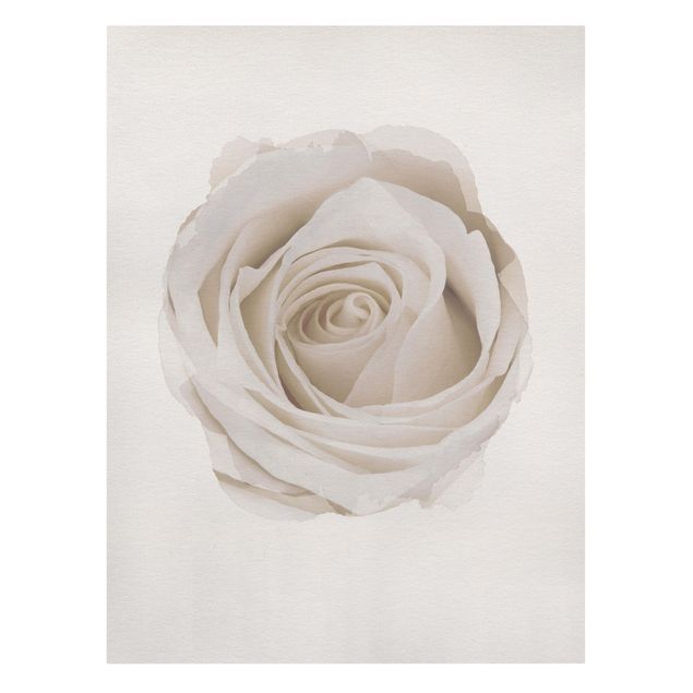 Wanddeko Flur Wasserfarben - Pretty White Rose