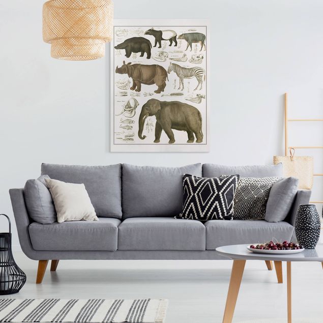 Wanddeko Afrika Vintage Lehrtafel Elefant, Zebra und Nashorn