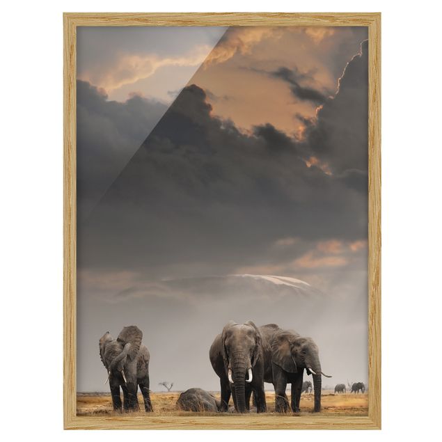 Wanddeko Flur Elefanten der Savanne