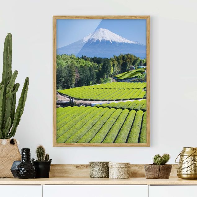 Wanddeko Wohnzimmer Teefelder vor dem Fuji