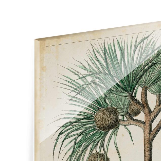 Wanddeko Treppenhaus Vintage Lehrtafel Exotische palmen I