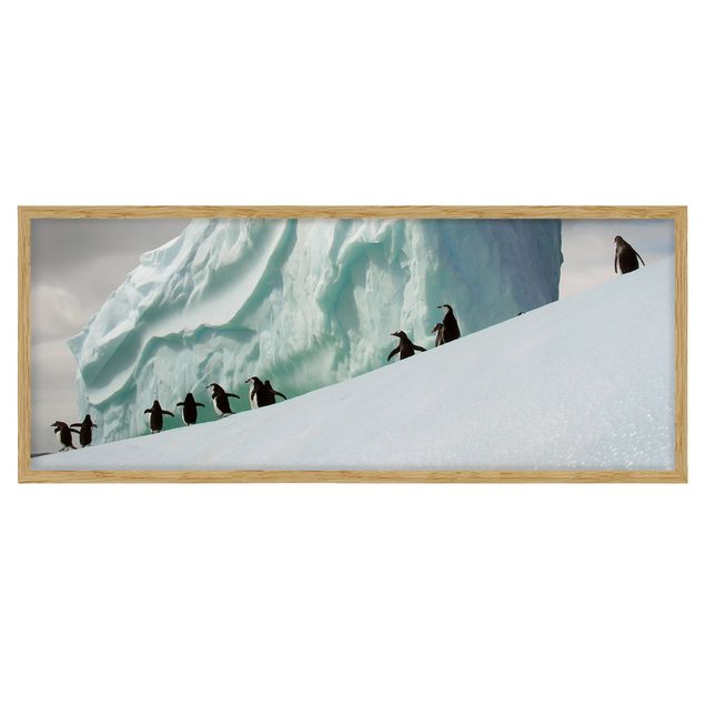 Wanddeko Esszimmer Arctic Penguins