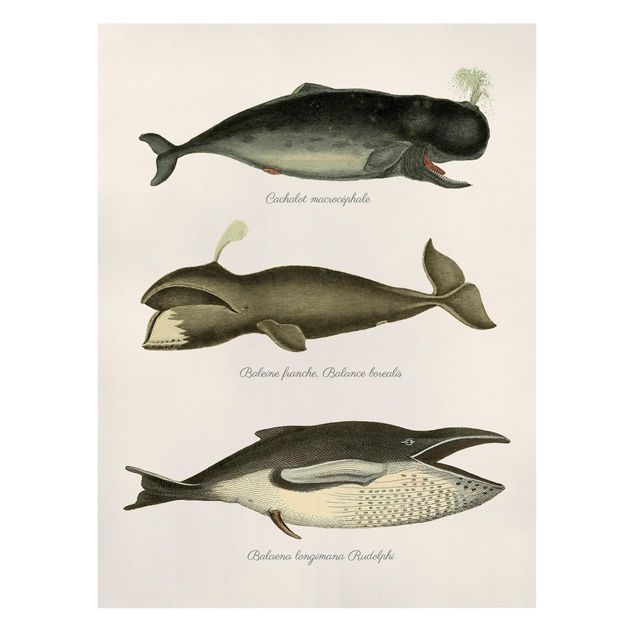 Wanddeko Flur Drei Vintage Wale