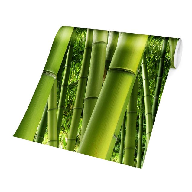 Wanddeko grün Bamboo Trees