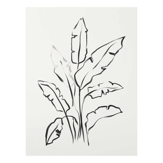 Wohndeko Pflanzen Bananenblätter Zeichnung