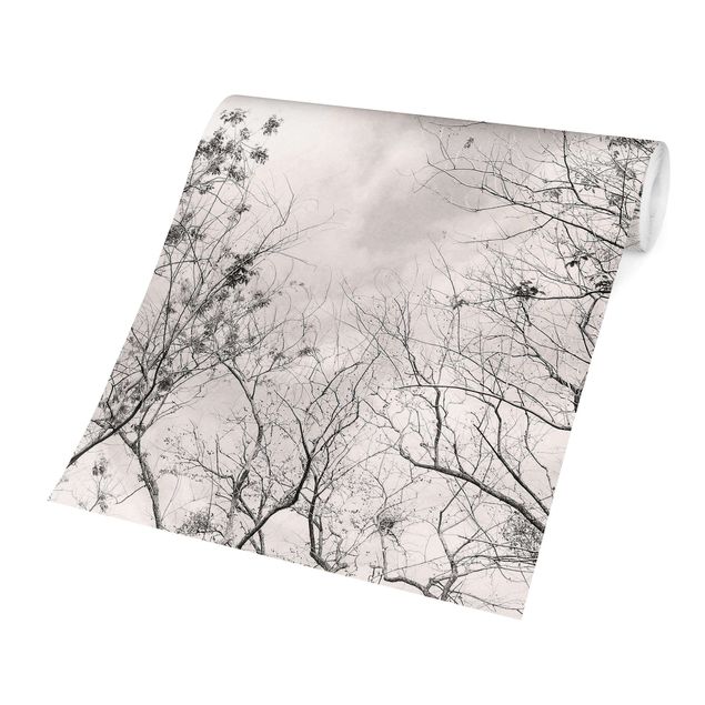 Wanddeko grau Baumkronen im Himmel in Warmgrau