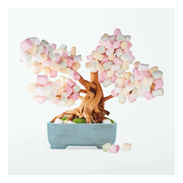 Deko Pflanzen Bonsai mit Marshmallows