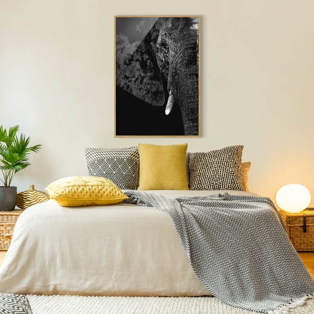 Wanddeko Schlafzimmer Afrikanischer Elefant schwarz-weiß