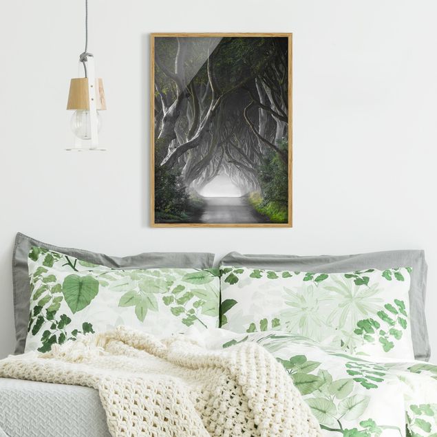Wanddeko Schlafzimmer Wald in Nordirland