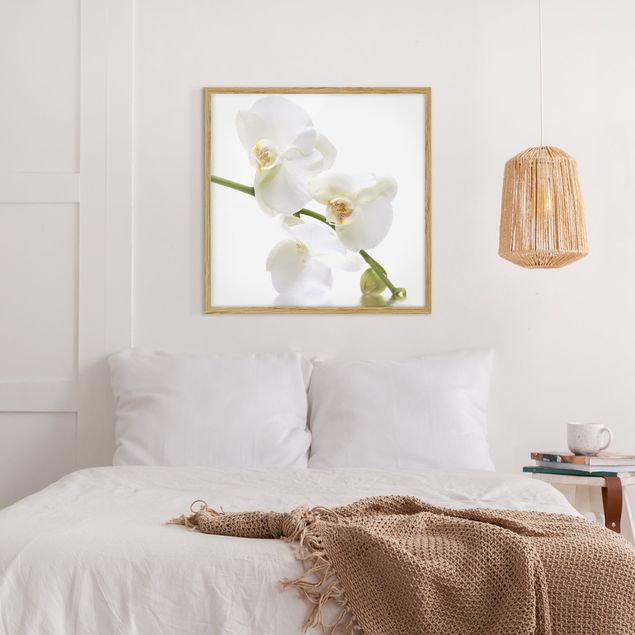 Wanddeko Wohnzimmer White Orchid Waters